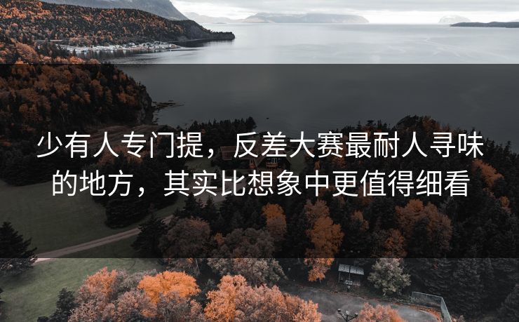 少有人专门提，反差大赛最耐人寻味的地方，其实比想象中更值得细看
